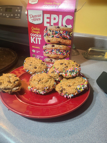 Epic cookie kit expectations werent very high but they came out alright