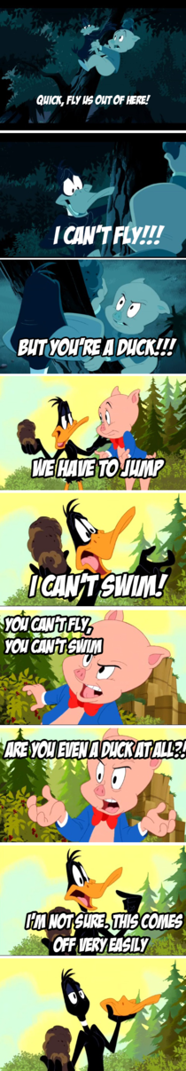 Even Daffy isnt sure anymore