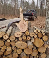 Even firewood is done with 