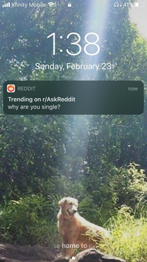 Even Reddit is mocking me at this point