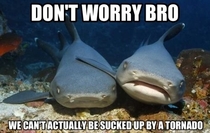 Even sharks get a little scared sometimes Its nothing to be ashamed of