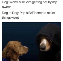 Ever wonder what your dog is thinking