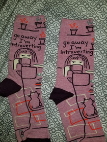 Every Christmas my mom gives my boyfriend and I a pair of funny socks This years were spot on and if I could wear them to work and show them off I would