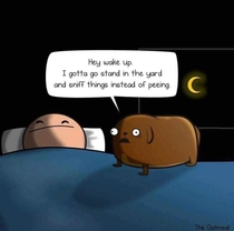 Every dog owner will sympathize