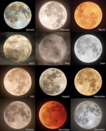 Every Full Moon of the year  Photographed by Loonarpix