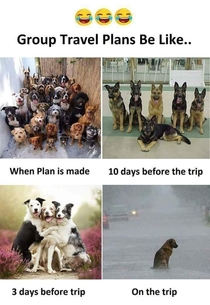 Every group plan goes like this