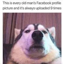 Every Old Mans Facebook