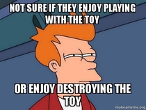 Every time I buy my dogs new toys