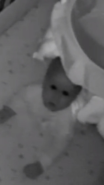 Every time I check on the baby using the camera he creeps me out