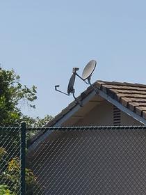 Every time I look at my neighbors roof I see a monkey trying to get a tan with a sun reflector