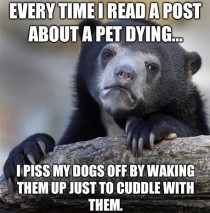 Every time I read a post about a pet dying