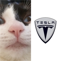 Every time I see the Tesla logo