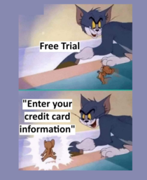 Every time trying to use trial