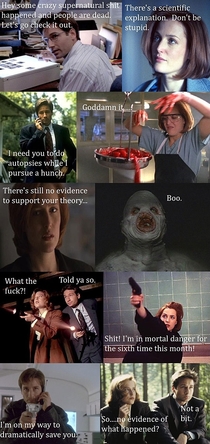 Every X-Files episode