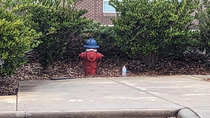 Everyday I park at work and I feel like this fire hydrant is staring at me