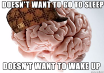 Everyday Scumbag brain