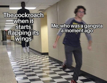 Everyone gangsta until the cockroach starts flying