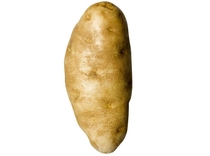 Everything on the front page is shit today Heres a potato
