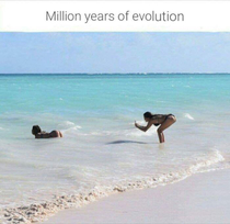 Evolution is amazing