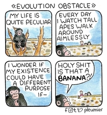 Evolution obstacle