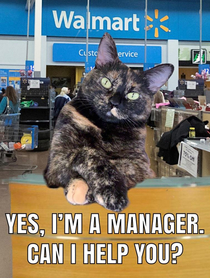 Excuse me Are you the manager