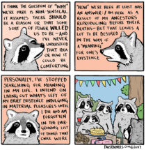 Existentialist raccoon