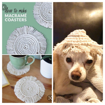 Expectation coaster Reality dog hat