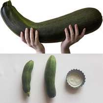 Expectations of the first harvest of courgettes in our allotment vs reality