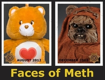 Faces of Meth