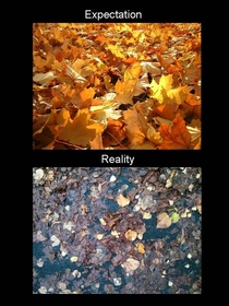 Fall is disappointing