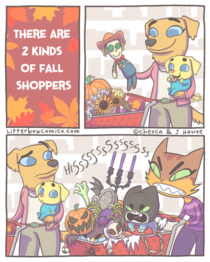 Fall Shopping 