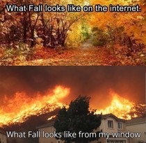 Fall- world wide web vs California