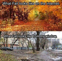 Fall - world wide web vs reality