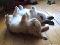 Family yoga in the morning