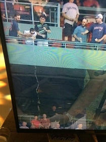 Fan caught throwing up over balcony at Red Sox game