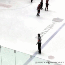 Fan throws beer at hockey referees groin