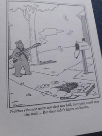 Far Side