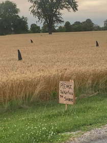 Farmers With A Sense Of Humor