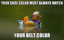 Fashion Advice Mallard