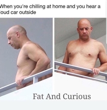 Fat and curious