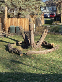 Father in law cut down our tree and left a ritual altar