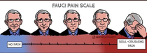 Fauci Pain Scale Credit  Nathan Gray