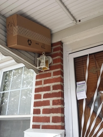 FedEx decided to get creative on me