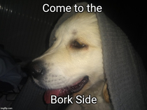 Feel the power of Bork side