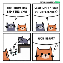 Feline shui