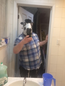 Felt cute might delete later