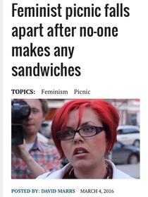 Feminist picnic
