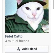 Fidel Catto