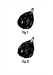 Fig 