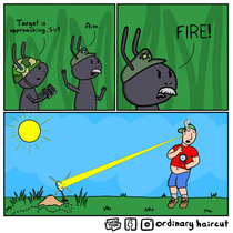 Fight back